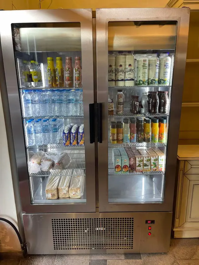 Double-door upright display fridge