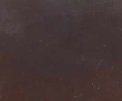 Sahara